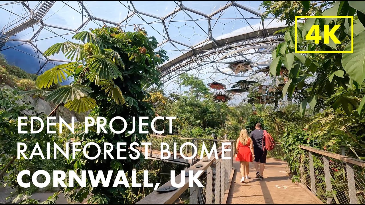 CORNWALL, UK | Eden Project, the Largest Indoor Rainforest in the World! | 4K Tour