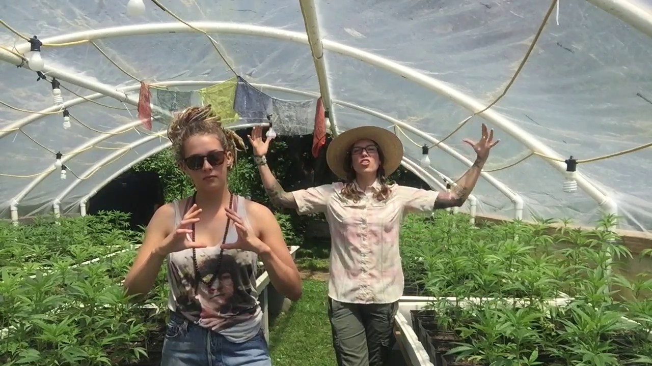 Grow Sisters, Sustainability in Farming Craft Cannabis, Grow Your own