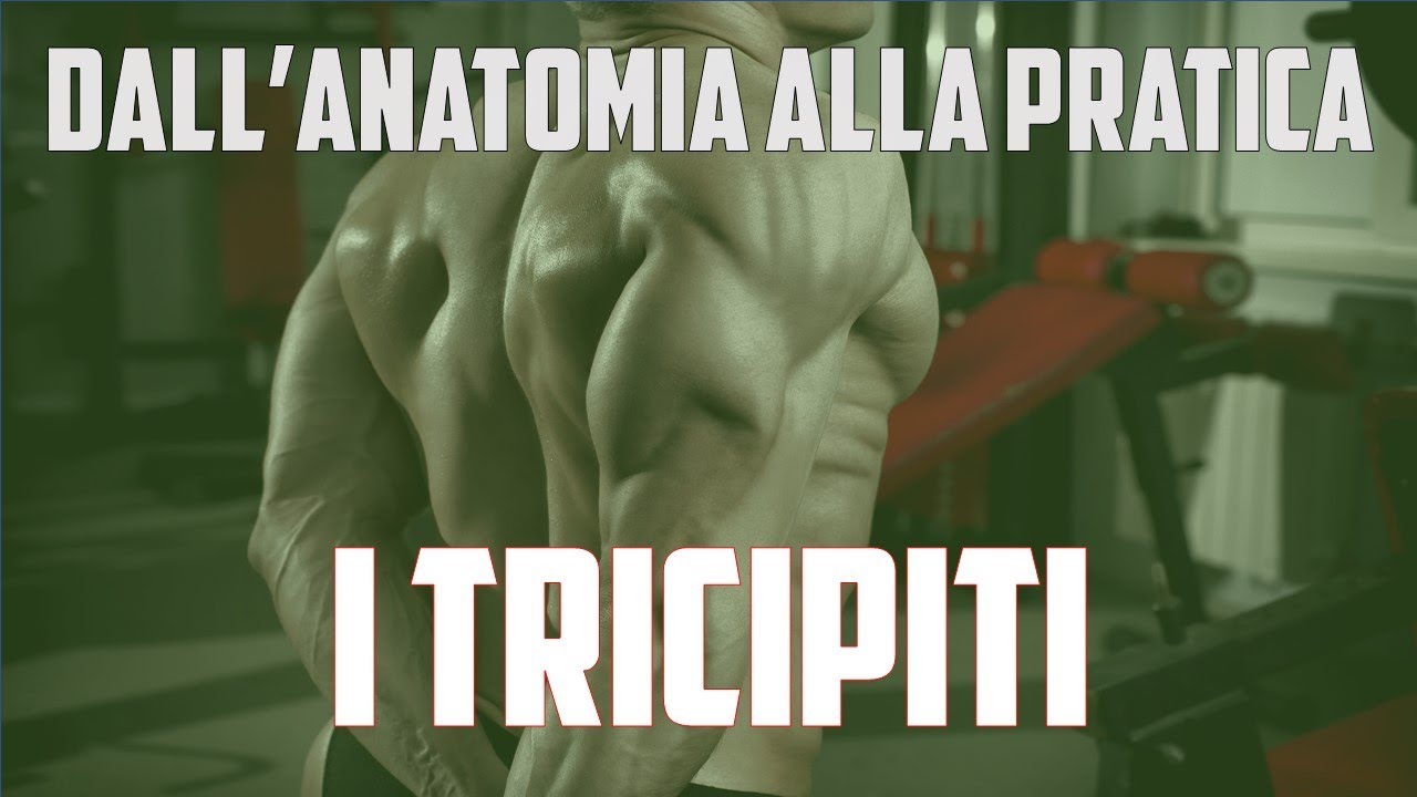 ESERCIZI TRICIPITI: dall'anatomia alla pratica