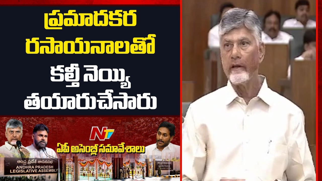 TTD Laddu Ghee: వాల్యూ -5 ప్రకారం జంతు కొవ్వు ఉందన్న రిపోర్ట్ ఆధారంగానే నేను మాట్లాడాను | NTV