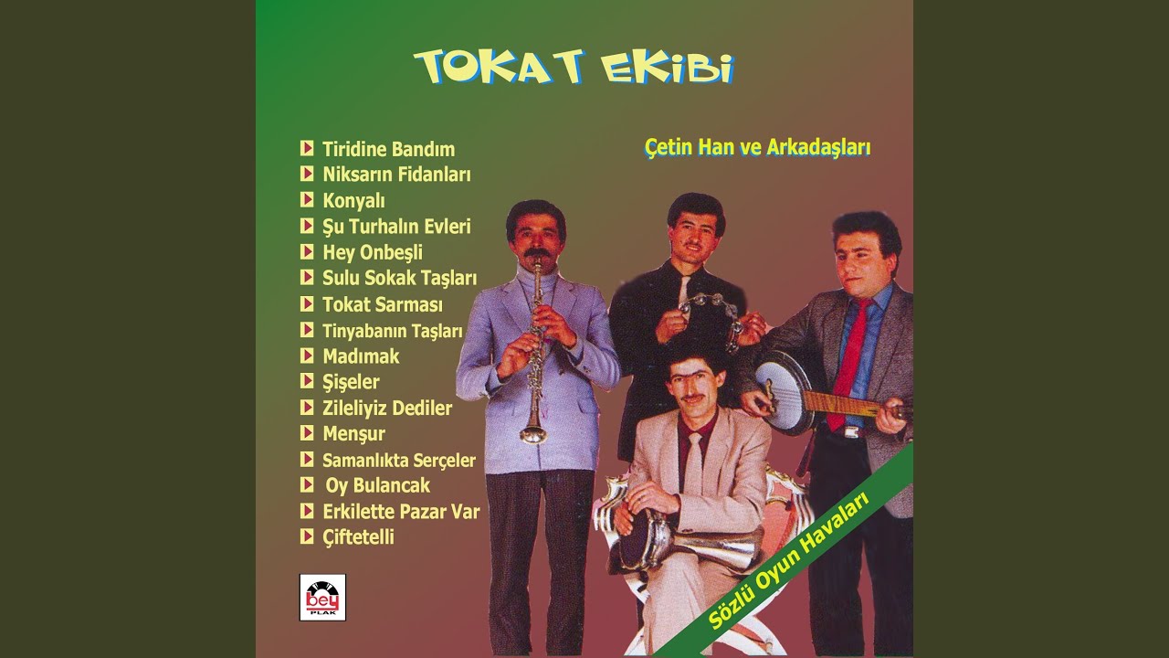 Tokat Sarması