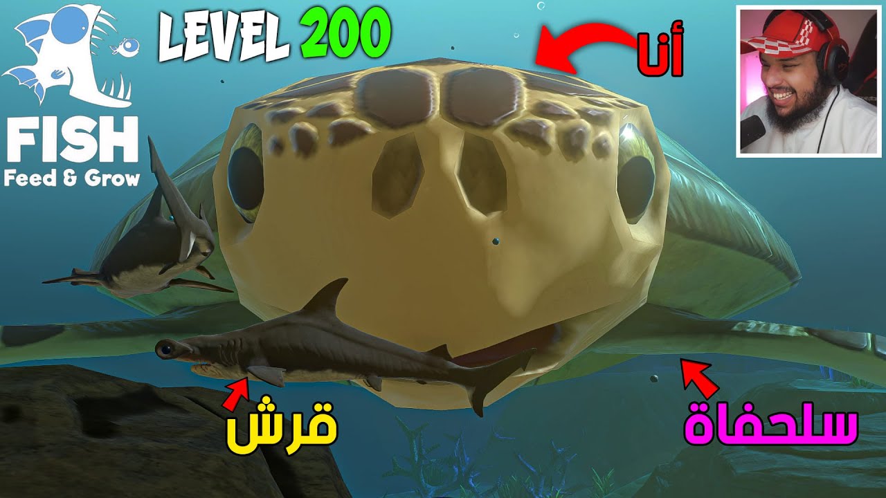 السلحفاة الطائرة 🐢🦅 - اغرب شي في اللعبة ما تصدق انه موجود 😱 | Feed and Grow: Fish