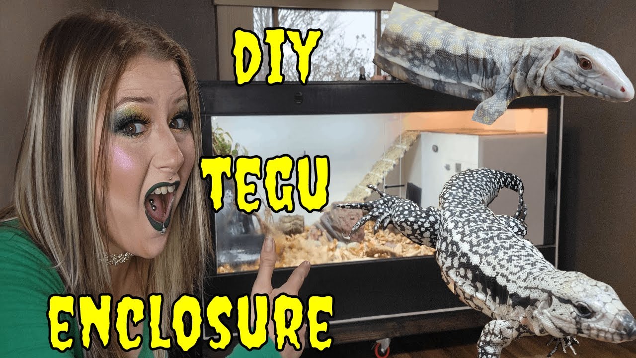 Ultimate DIY Tegu Enclosure
