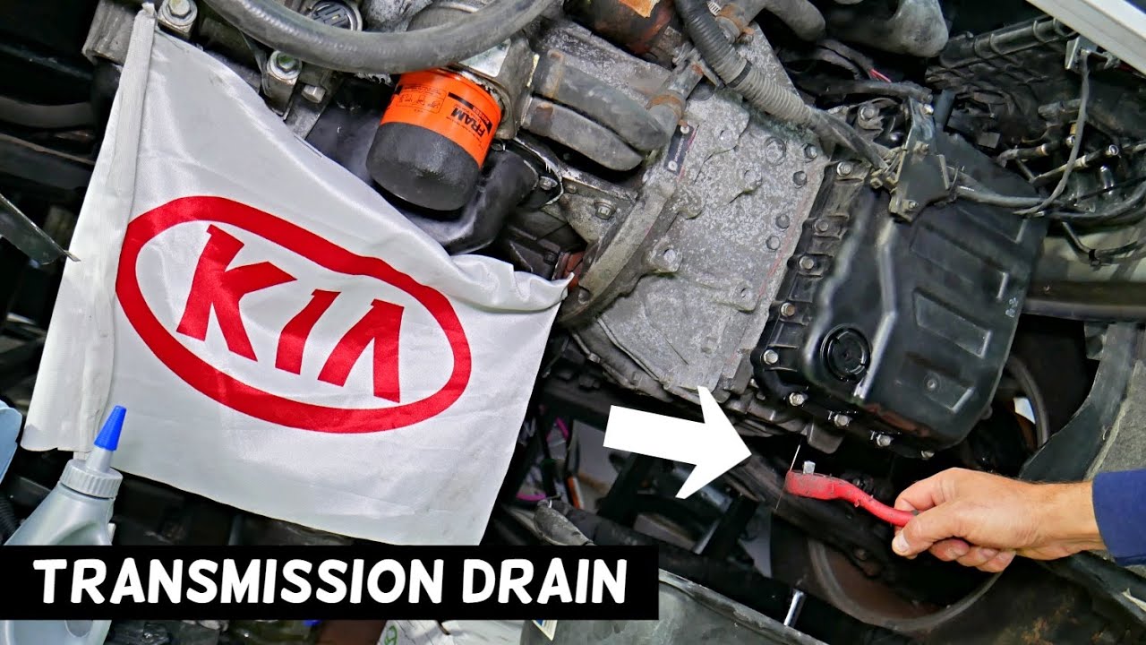 HOW TO DRAIN TRANSMISSION FLUID ON KIA OPTIMA FORTE RIO SORENTO SPORTAGE SOUL A6MF1 A6MF2