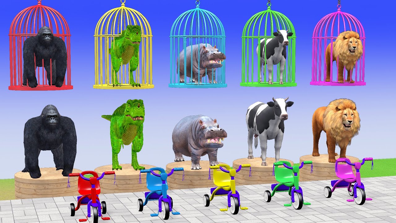 Long Slide Game With Elephant Gorilla Buffalo Hippopotamus Tiger 3d Animal Game Funny 3d Animals