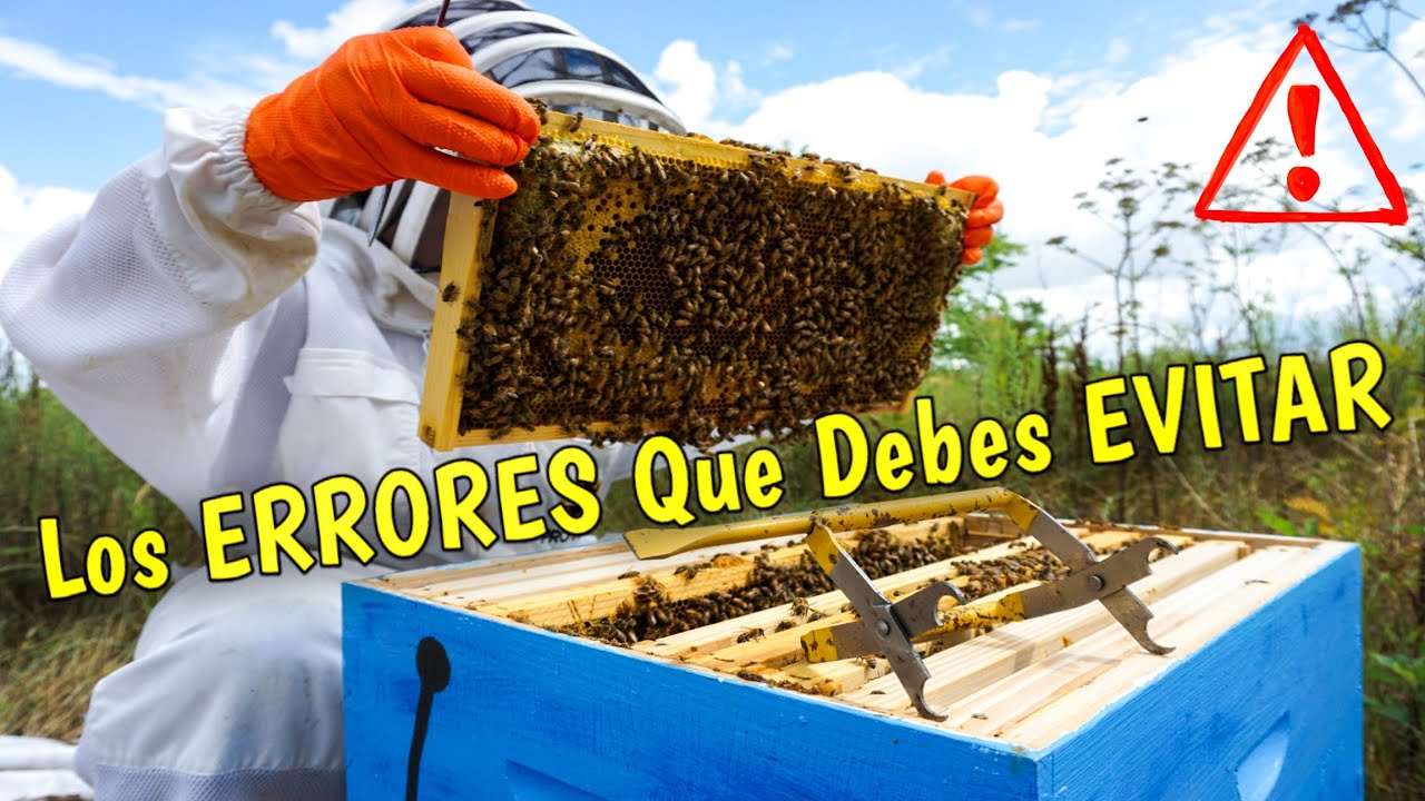 🐝 Основные ошибки начинающих пчеловодов: что я хотел бы знать 🚨