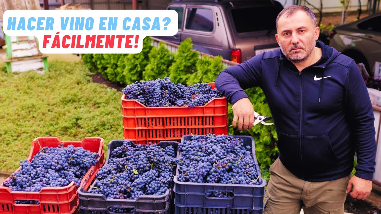 Cómo hacer vino en casa | receta de vino casero