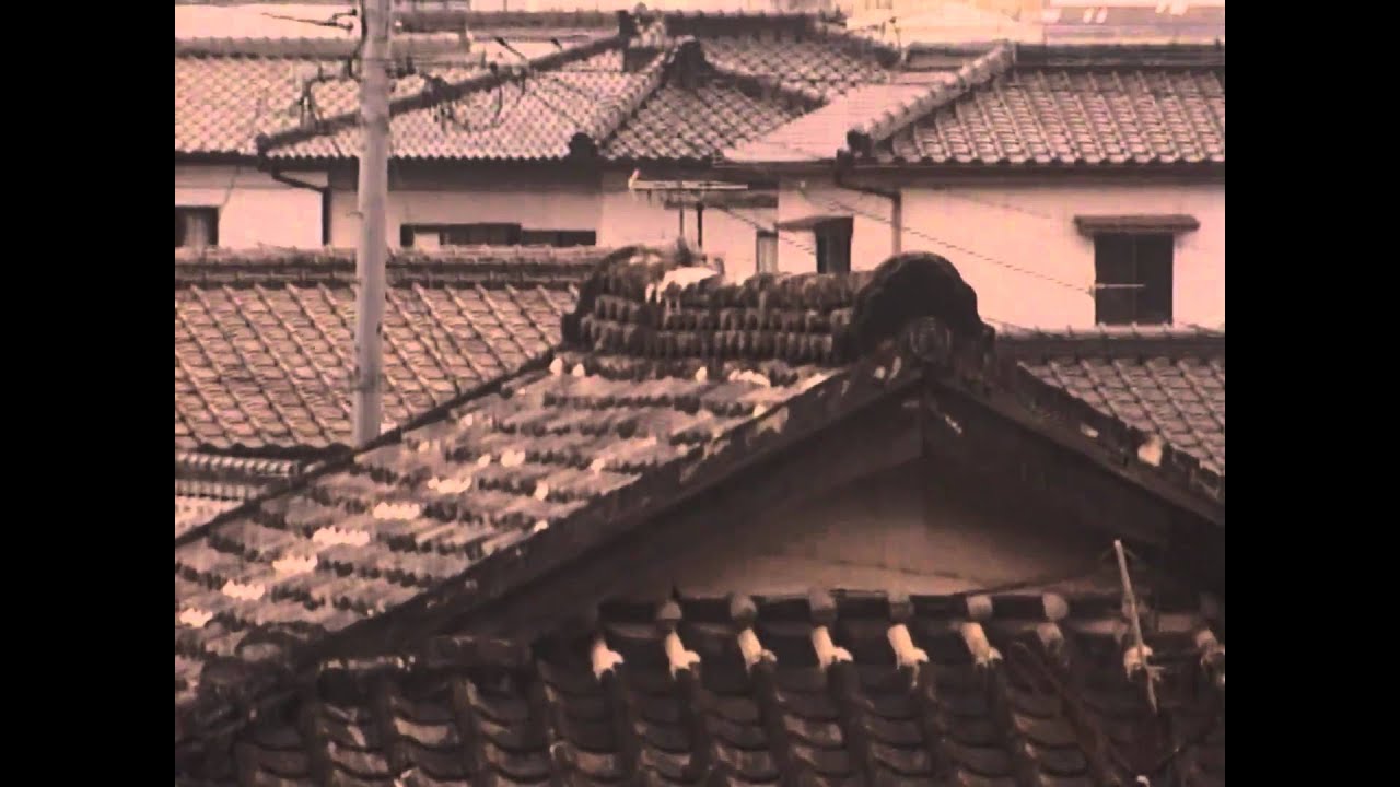 もやいの家～水俣・杉本家の40年～(2)