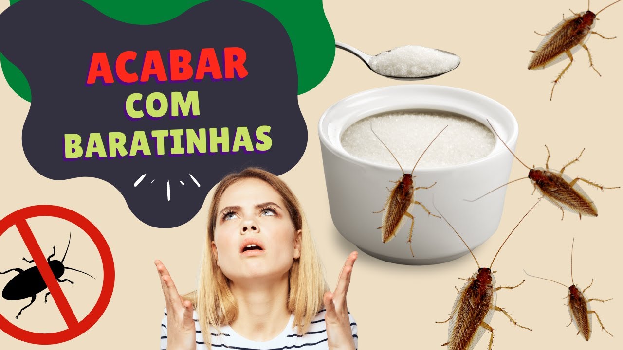 Como eliminar baratinhas de cozinha - Dicas e m&eacute;todos de controle para livrar-se delas