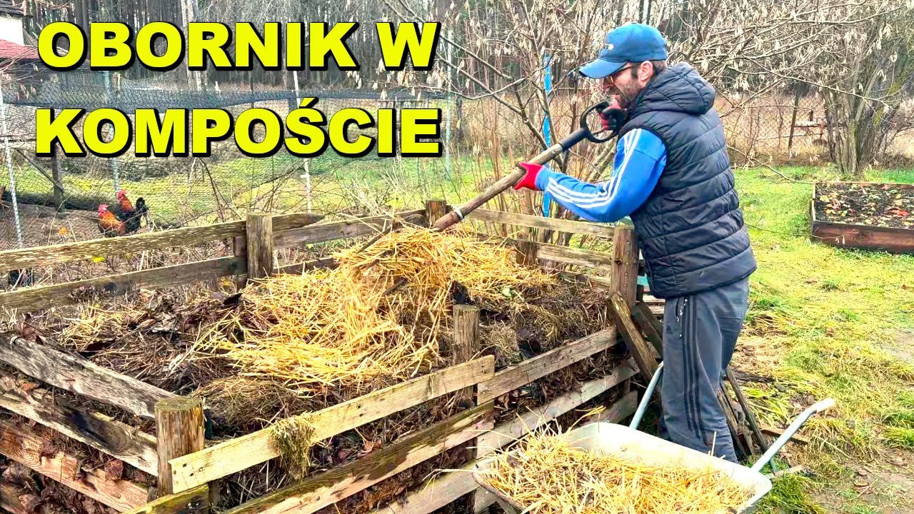 Kurzy obornik + kompost = idealny nawóz