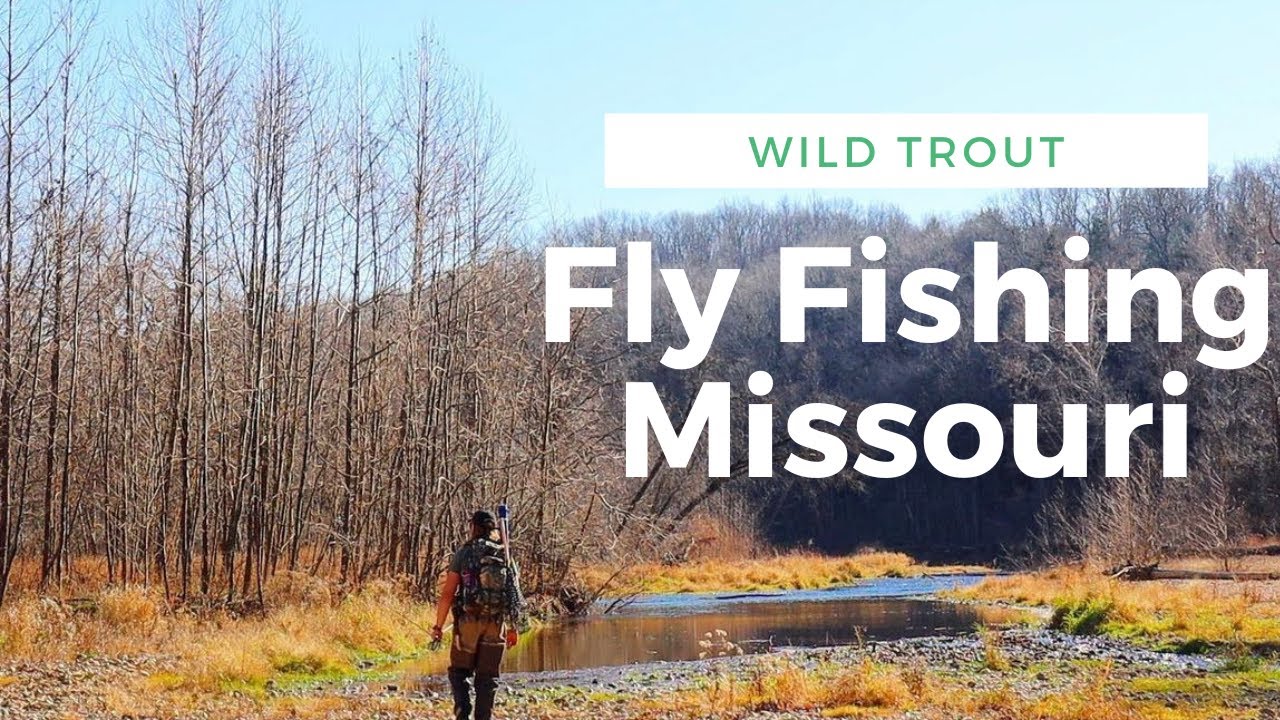You never see fish like this | Fly Fishing the Midwest United States
