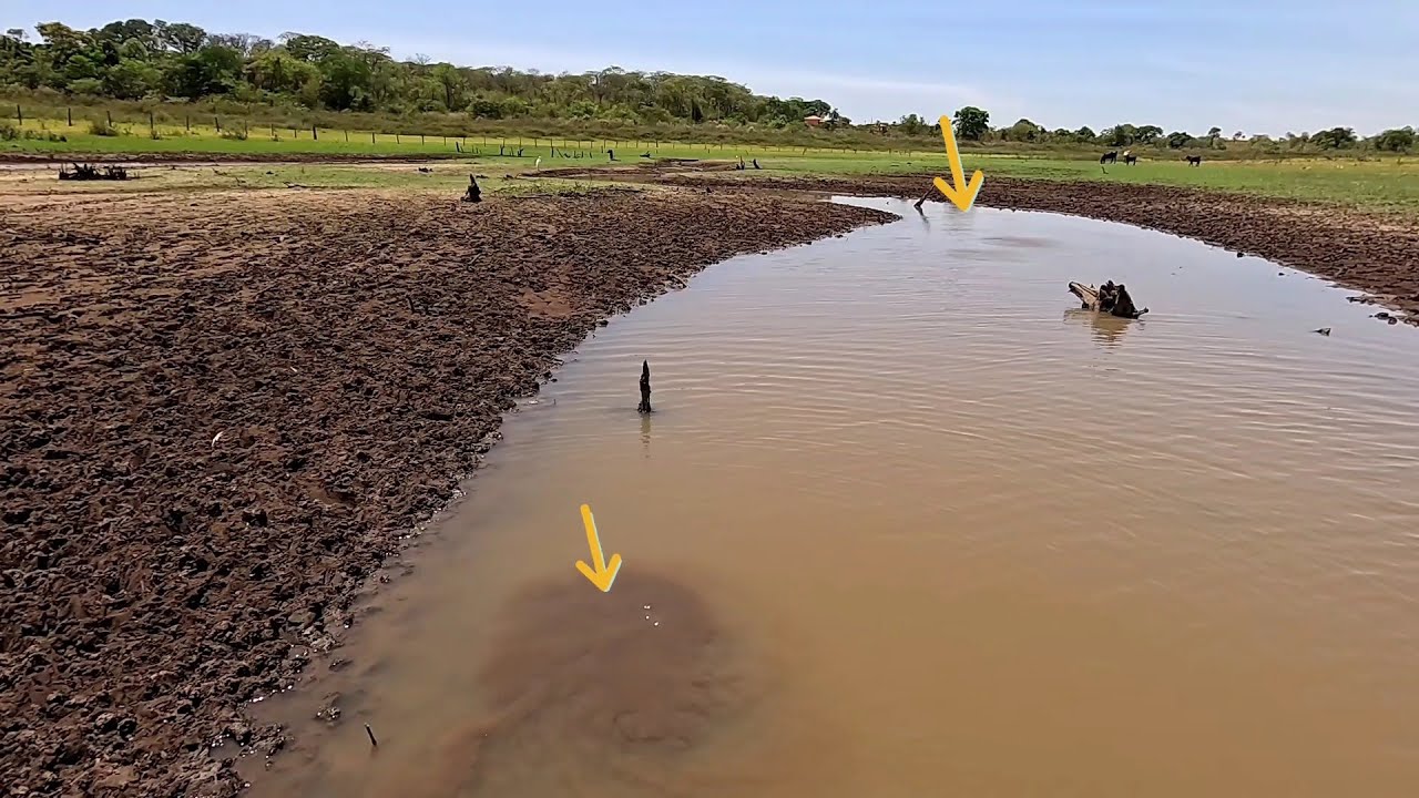 Piau&ccedil;u tucunar&eacute; e tra&iacute;ra no Rio grande Pescaria caipira usando ceva de camar&atilde;o 