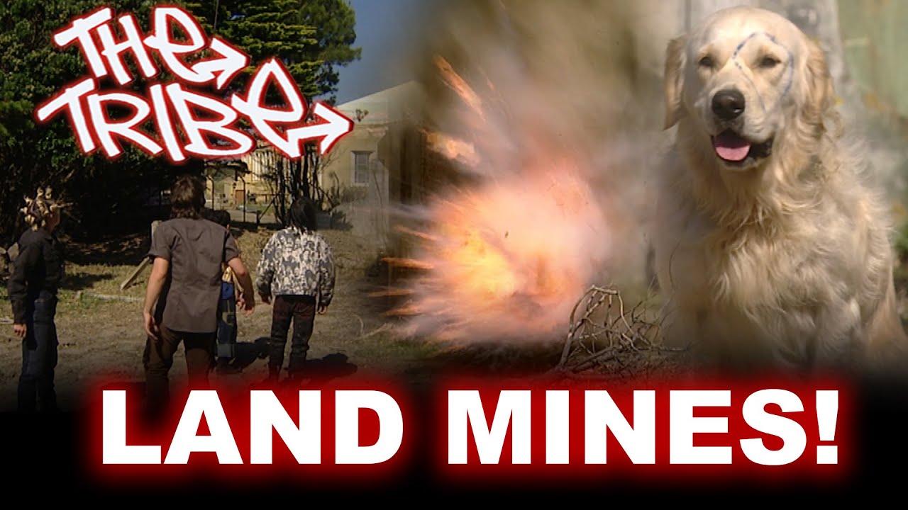 Bob Almost EXPLODES - The Tribe