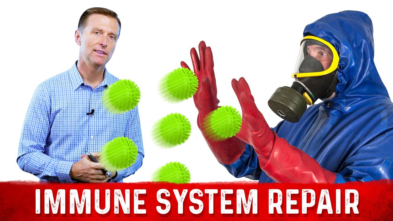 How to Repair Your Immune System&nbsp;if it is Old and Damaged