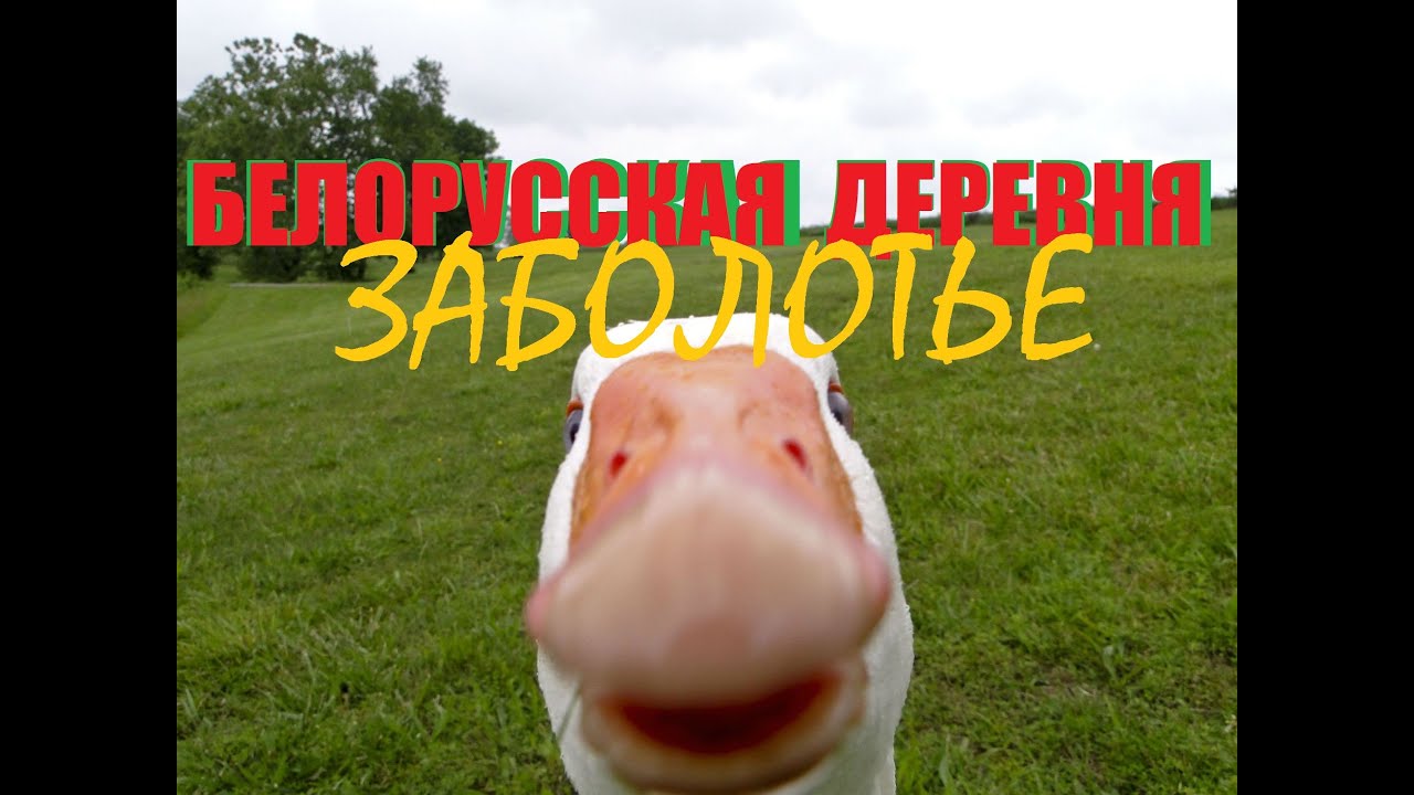Оршанское Заболотье🇧🇾или как живут в белорусской деревне.Обзор,быт,атмосфера.