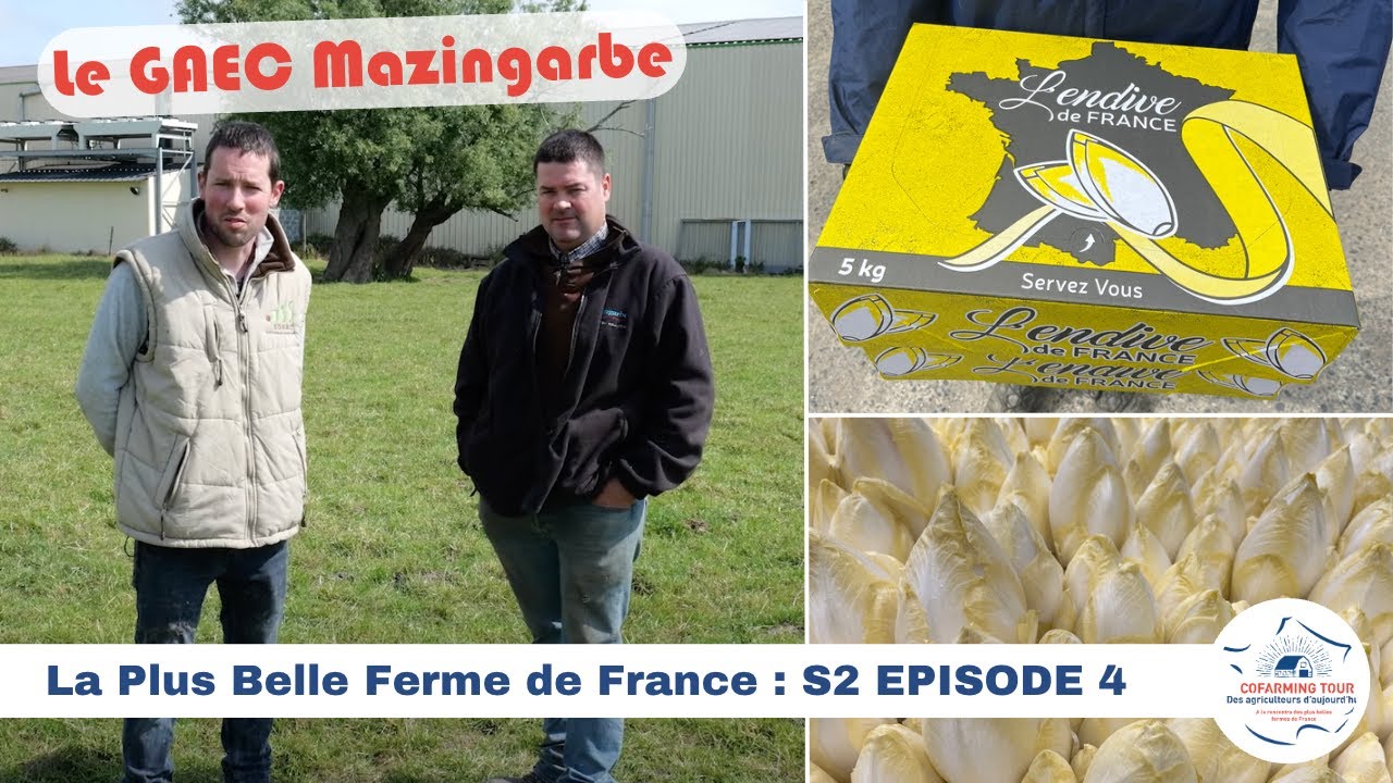 Le GAEC Mazingarbe  : 🇫🇷 LA PLUS BELLE FERME DE FRANCE