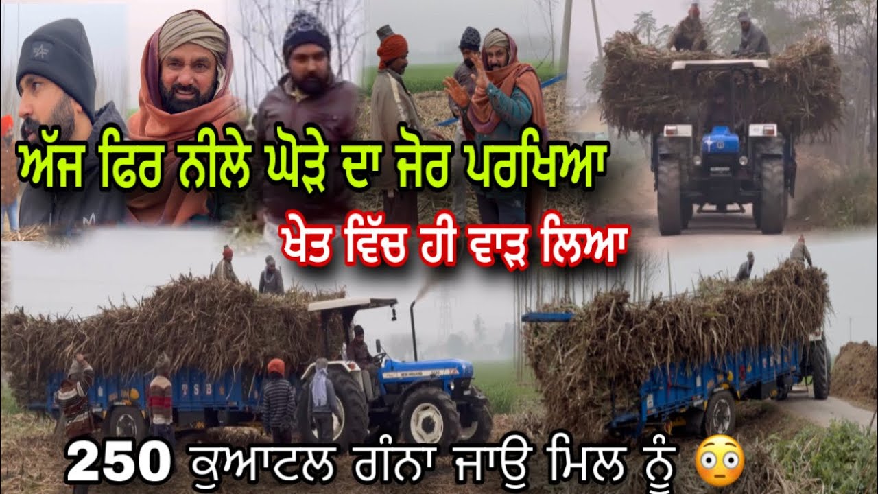 ਅੱਜ ਫਿਰ ਗੰਨਾ ਕਰਣਾ ਲੋਡ 250 ਕੁਆਟਲ " ਨੀਲੇ ਘੋੜੇ ਦਾ ਜੋਰ ਦੇਖਣਾ " ਅੰਕਲ ਦਾ ਦਮ ਤੋੜ ਦਿੰਦਾ ਜੱਗਾ 🙏