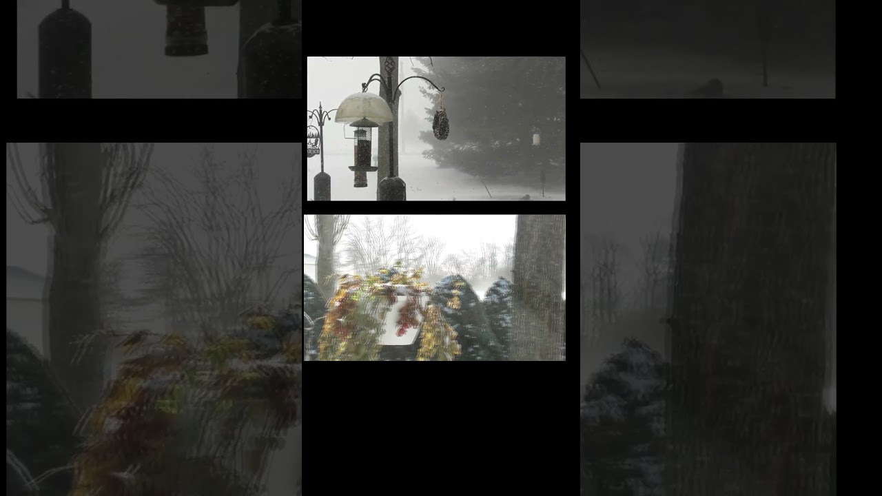 SQUALL JAN 19 2026 SPLIT SCREEN 