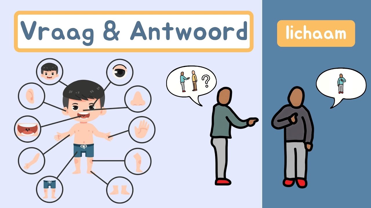 Vraag & Antwoord | Lichaam | Zinnen Maken | Thema 8