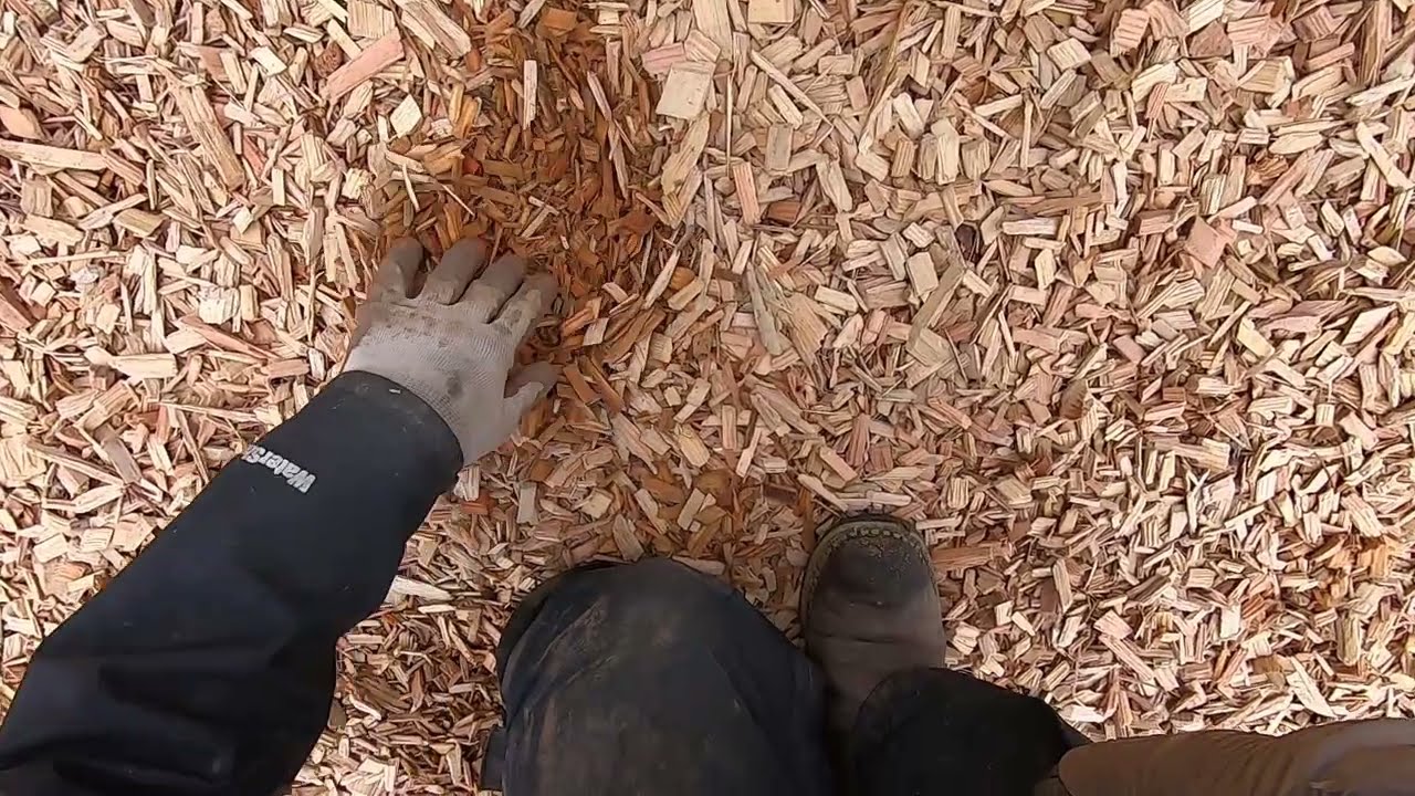 Testing the Nokta Legend sniper coil in the playground on ring and coin.