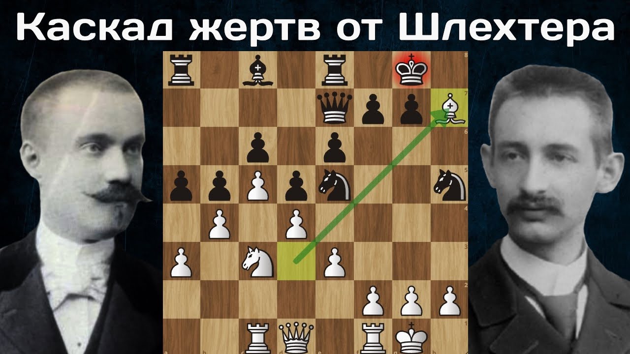 Пожертвовал СЛОНА, ЛАДЬЮ и КОНЯ! Карл Шлехтер - Георг Марко. Монте-Карло 1904. Шахматы