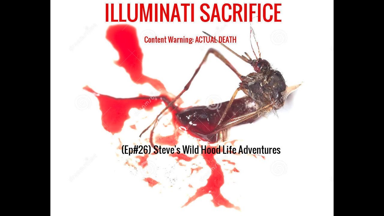 ILLUMINATI SACRIFICE CW: DEATH! ~ (Ep#26) Steve's Wild Hood Life Adventures