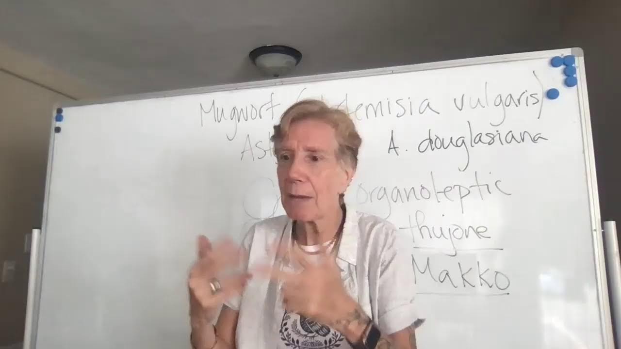Herbal Exploration: Mugwort as Ancestral Plant--Livestream