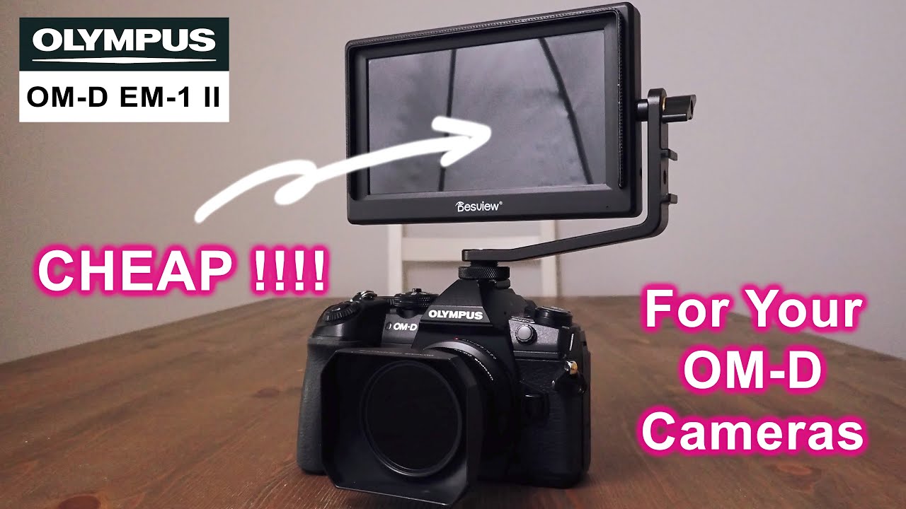 A $100 Monitor for your OM-D ?? Desview Mavo P5 - RED35 REVIEW