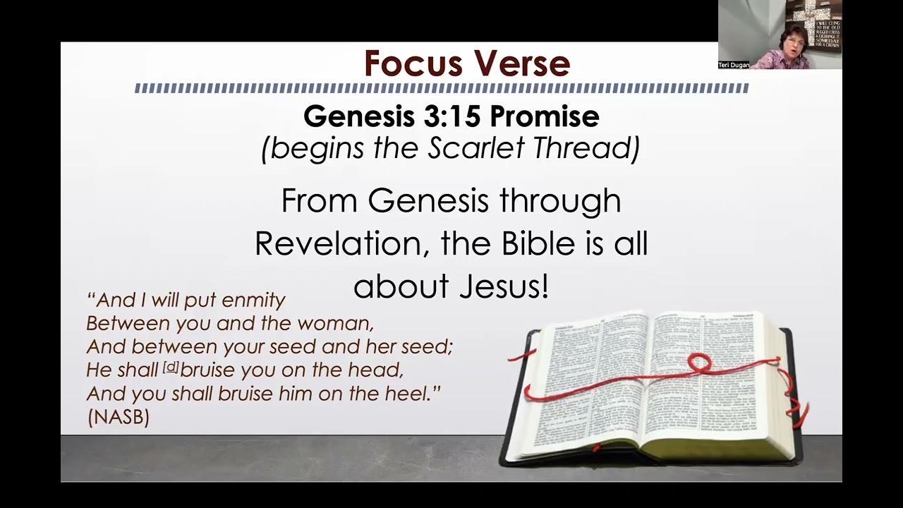 2026 Foundations Bible Study, Session Seven   Genesis Chapter 6, Noah's Ark