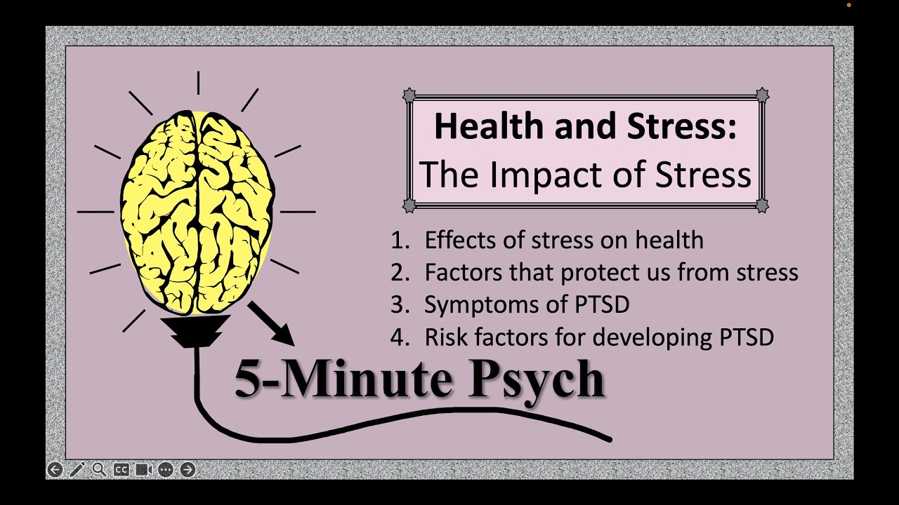 The Impact of Stress