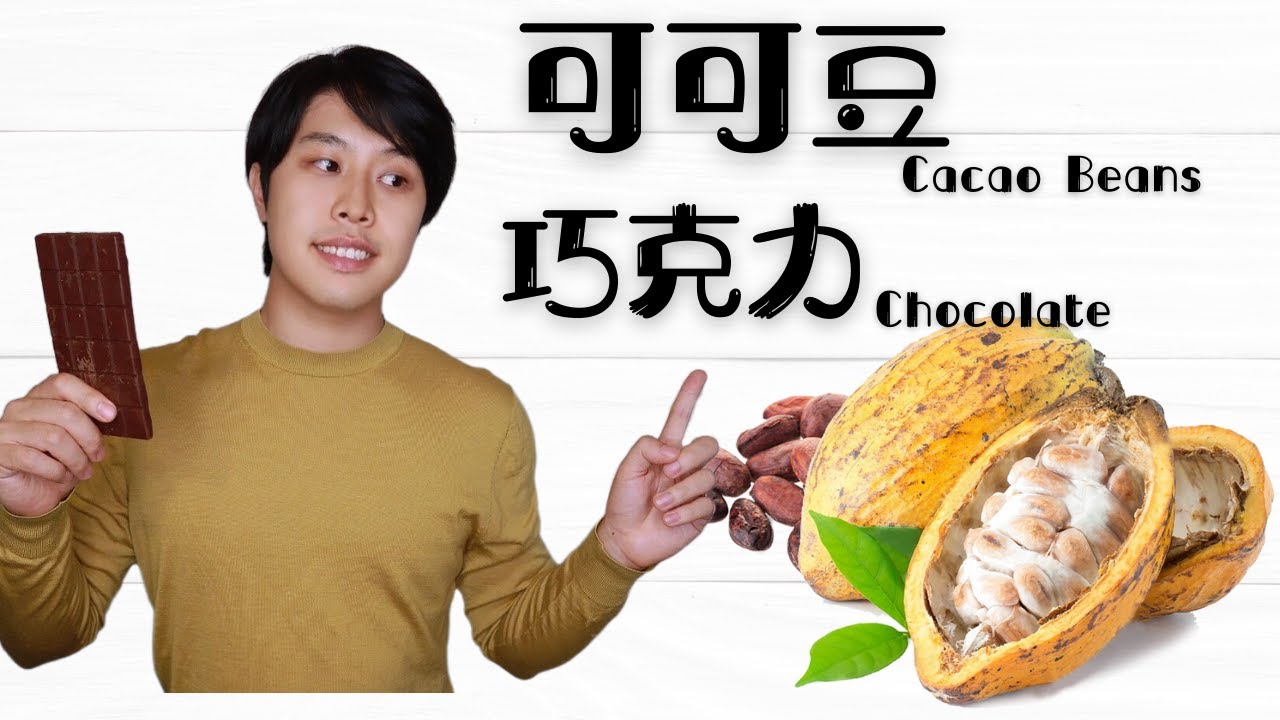 制作黑巧克力，从可可果到巧克力，一个星期在家制作巧克力的全过程！How to make your own chocolate from cocoa fruit at home?
