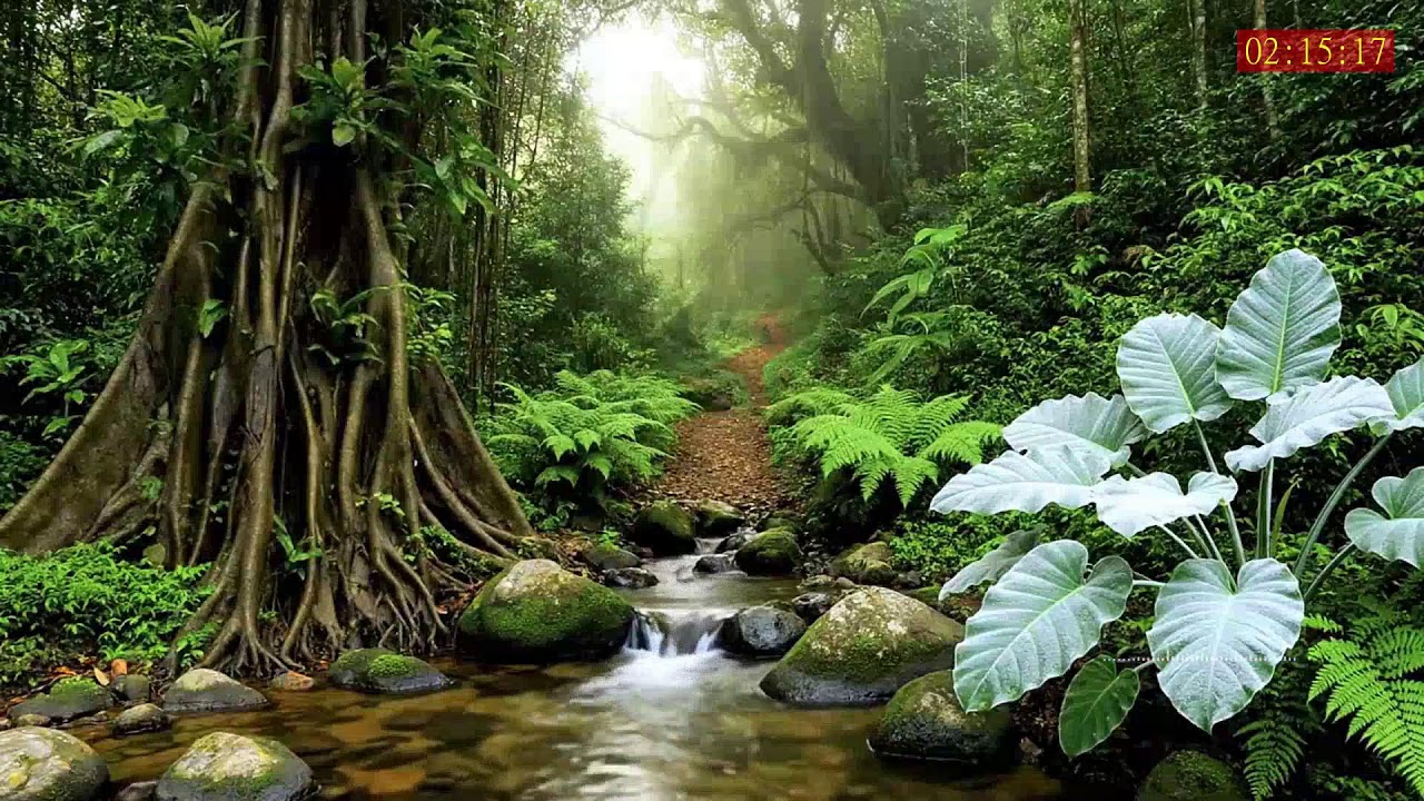 Deep Sleep Sound for Stress Relief and Full Body Relaxation During the Night