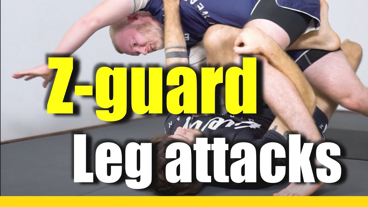 Z-guard LEG ATTACKS