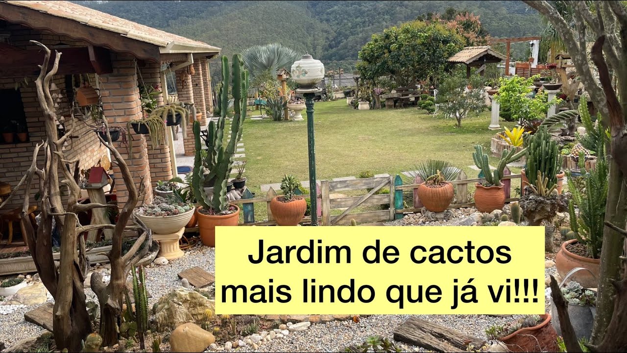 Jardim de cactos da Une!!