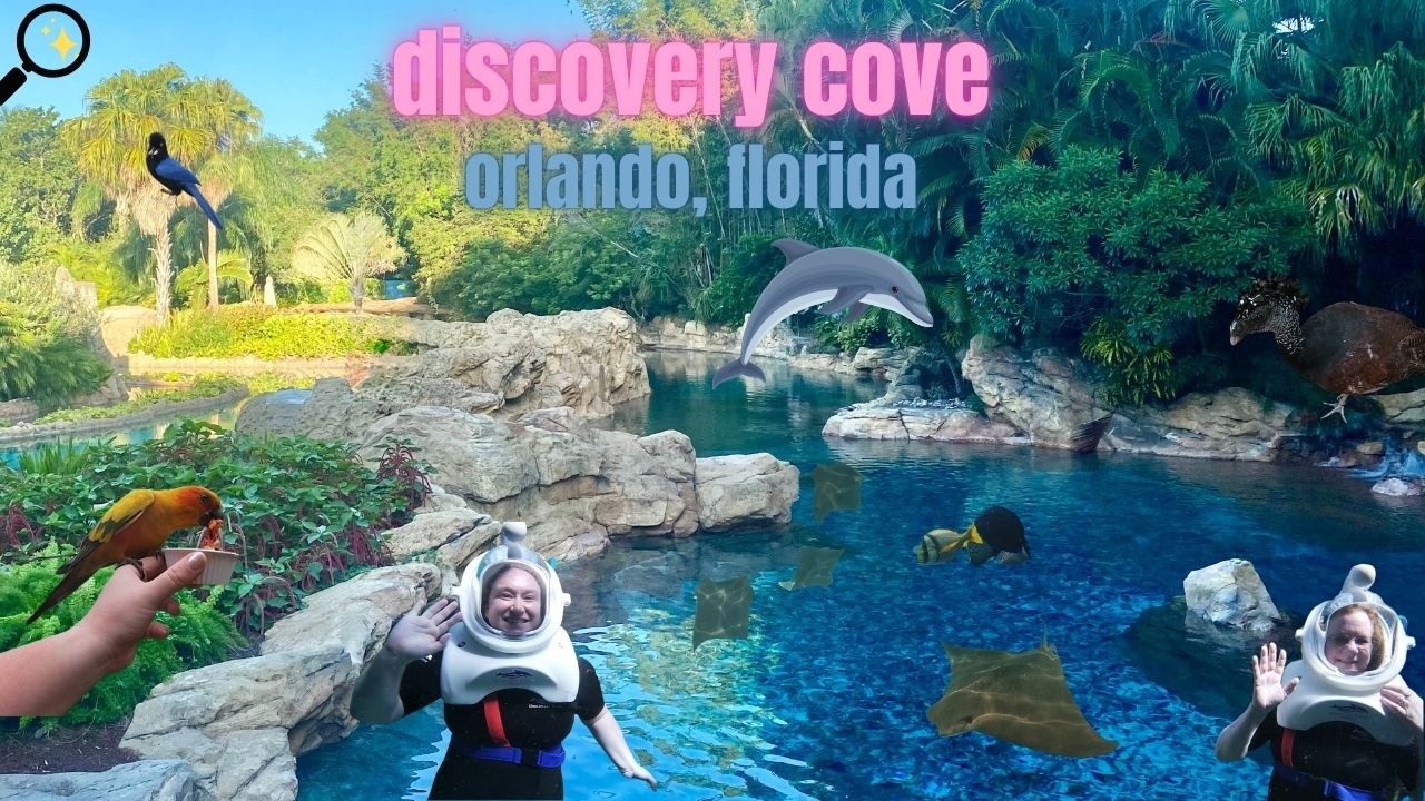 DISCOVERY COVE ORLANDO | all inclusive fun near disney: snorkeling, diving, dolphins, sharks & MORE!
