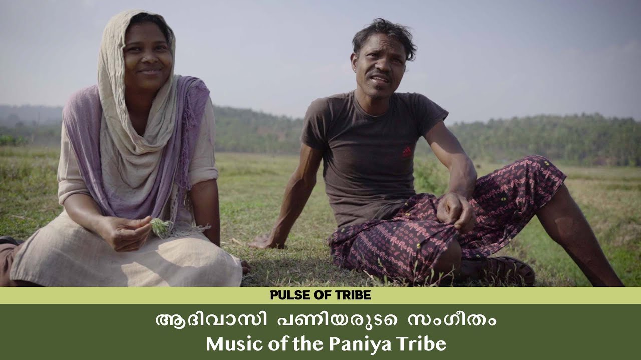 Music and Politics of the Paniya Tribe |  ആദിവാസി പണിയരുടെ സംഗീതം