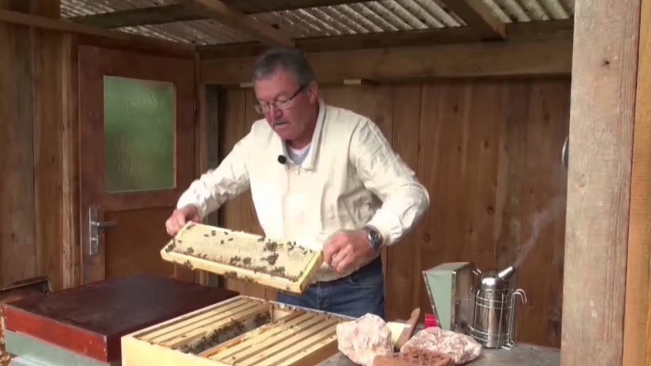 Ein bestechendes Hobby - Honig ernten