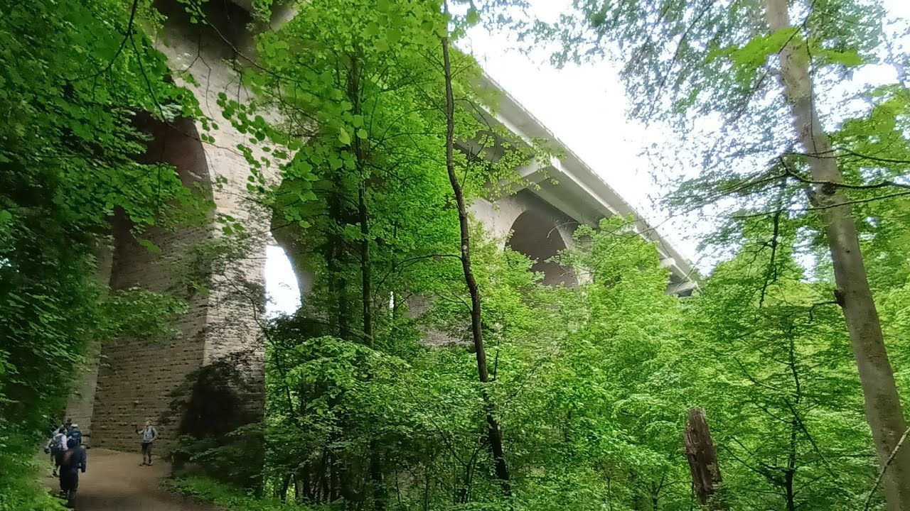 Oerwald und H&uuml;gel bei H&ouml;sel. @DrUrbex kanalmitglieder wanderung.