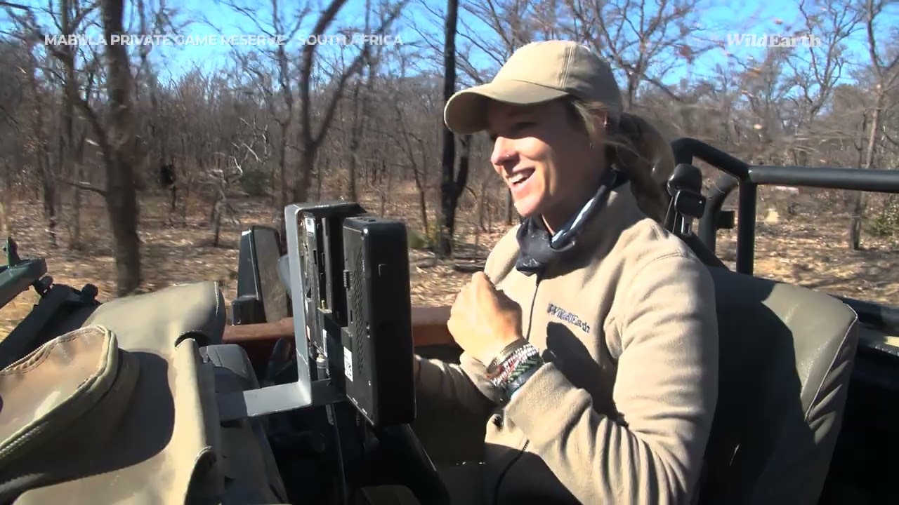 Wild Earth Virtual Safari at Mabula Private Game Reserve | Episode 17