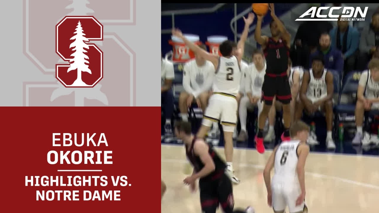 Stanford's Ebuka Okorie Highlights vs. Notre Dame
