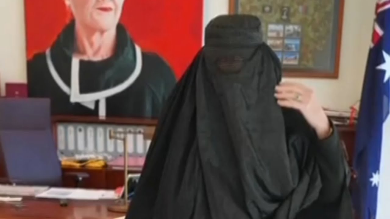 ‘Cheap and nasty’: Pauline Hanson’s burqa stunt sparks mixed reactions
