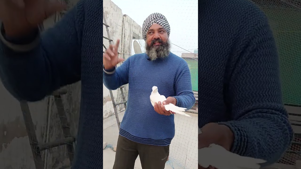 Nasal ki pahchan karna shiko dosto🔥🔥