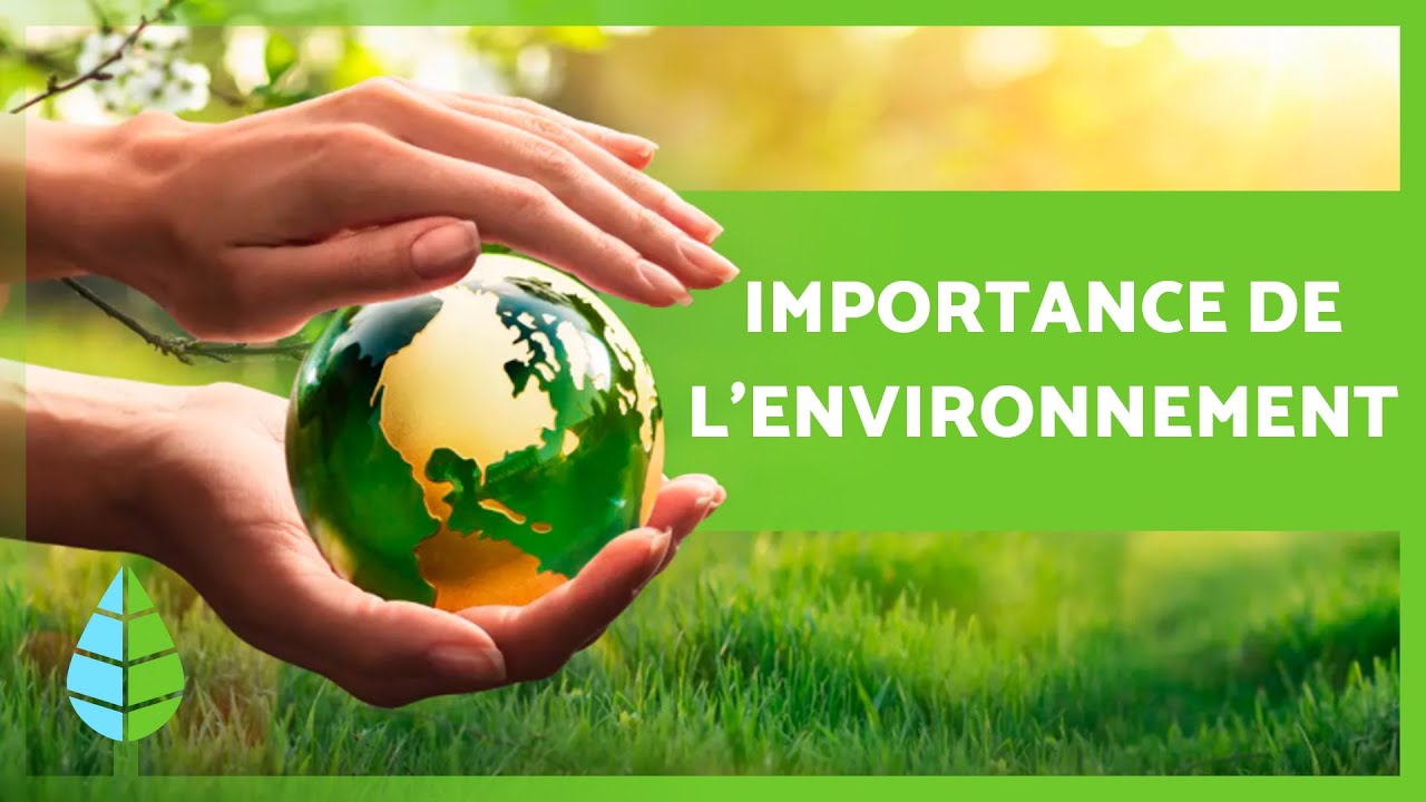 L'IMPORTANCE de PRENDRE SOIN de l'ENVIRONNEMENT 🌏🌿