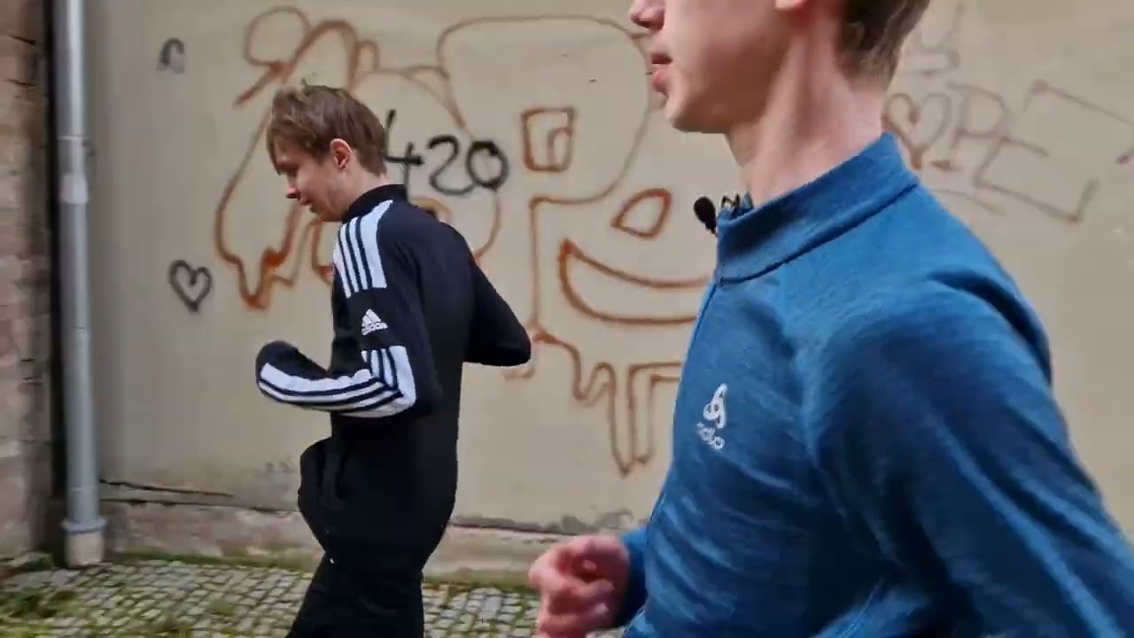 Hammelburg und seine mittelalterliche Stadtbefestigung