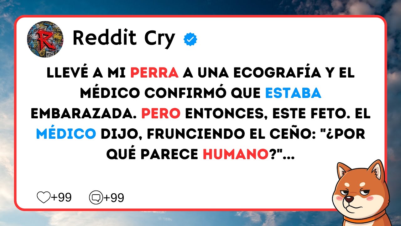 Llevé a mi perra a una ecografía y el médico confirmó que estaba embarazada. Pero entonces...