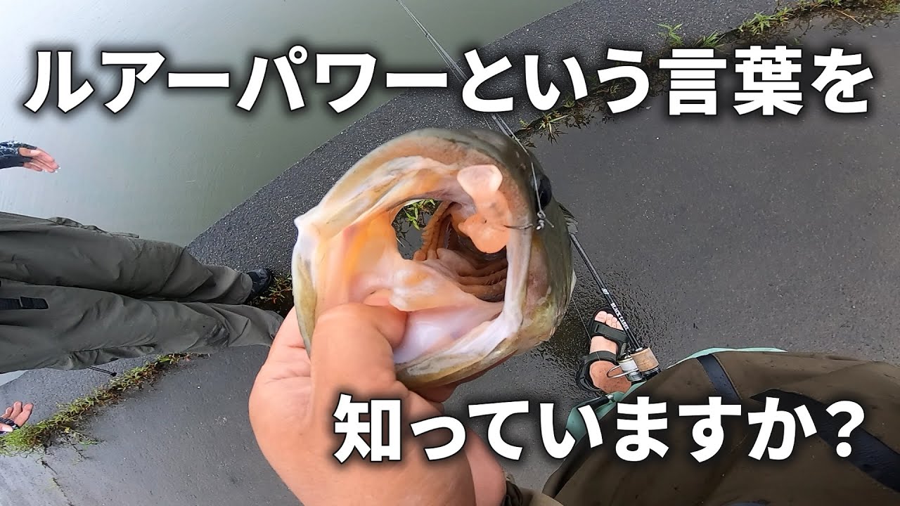【アフター攻略】今の霞でこれ知らないのはヤバいかも！？