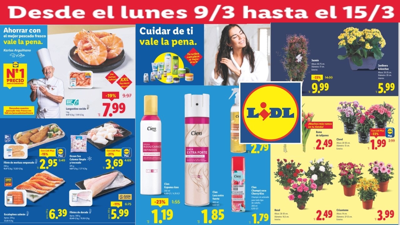 🇪🇸🔥LIDL ALIMENTACION 🛒 ESTA SEMANA 🗓 DEL LUNES 9 AL DOMINGO 15 DE MARZO / MEGA PRECIO