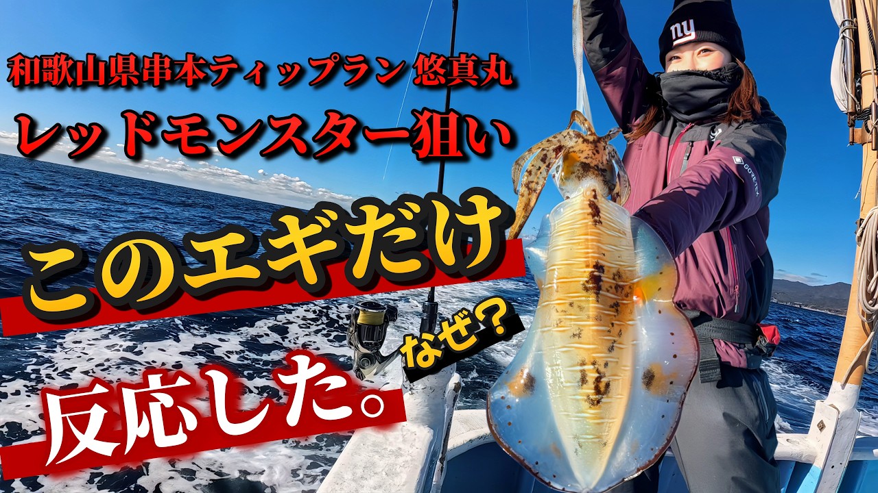 【串本ティップラン】レッドモンスター狙い…当たりはこのエギだけだった