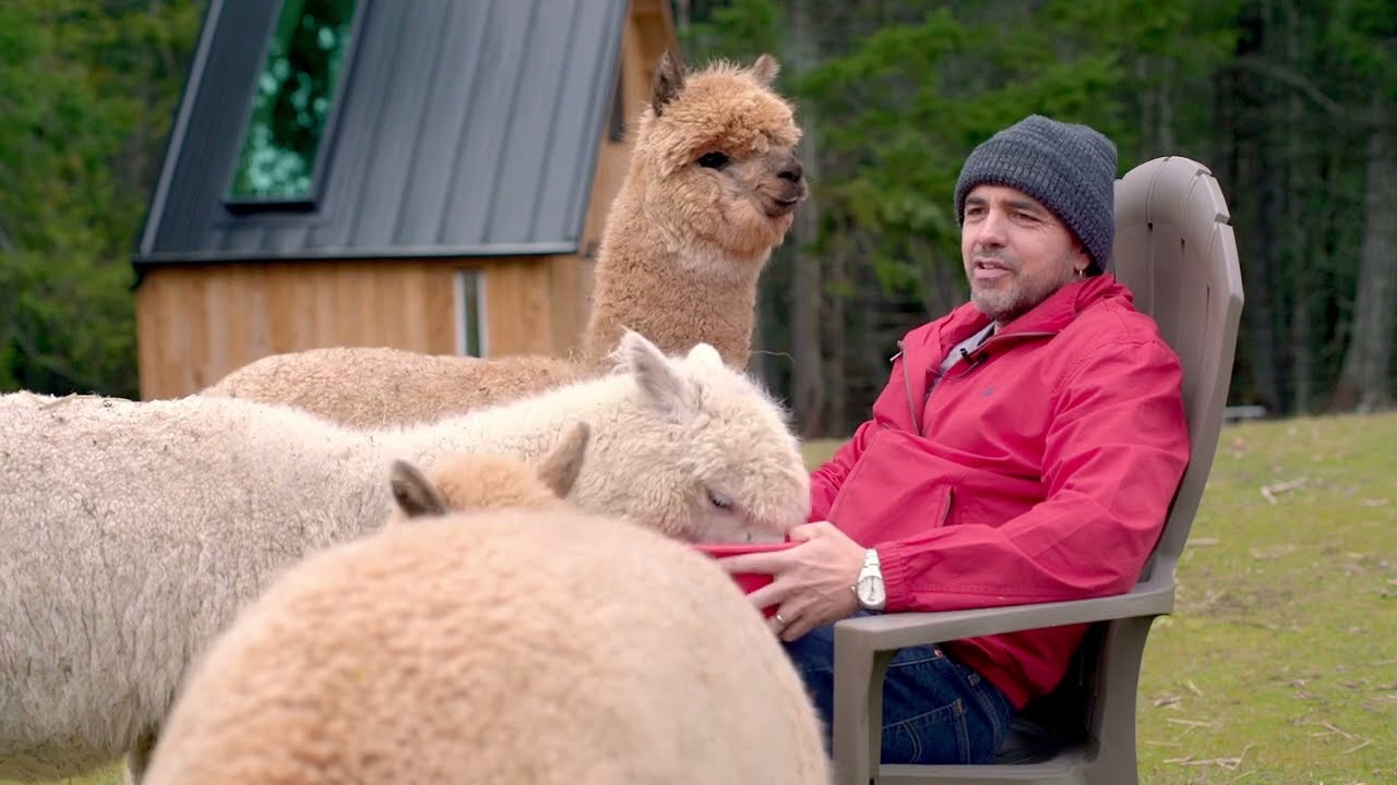 The Alpaca Interviews: Hawksley Workman