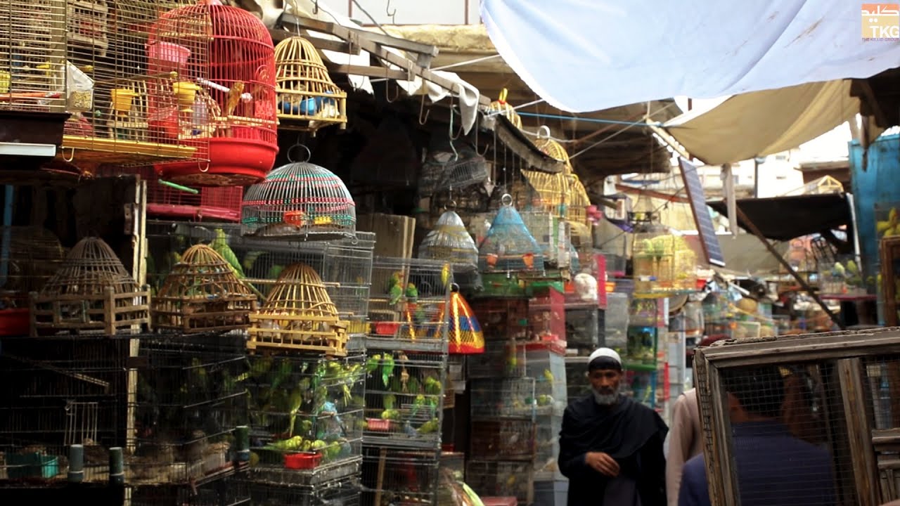 کوچه کاه فروشی کابل